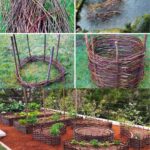 What Does a Purple Flag on the Beach Mean? Here’s What You Need to Know