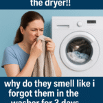 Can You Really Use Aluminum Foil in an Air Fryer? Here’s What You Need to Know (Before You Ruin Your Meal!)