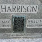 Keep Maggots Out of Trash Bins Easily: Proven Tips for a Cleaner, Safer Home