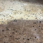 The Secret Behind This Grave’s Unusual Design