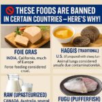 Creating a Stunning Bougainvillea Bonsai: Step-by-Step Guide