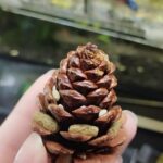 How To Rid Your Towels Of That Gross Mildew Smell