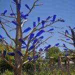 What It Means If You Have This Hidden Arm Tendon — Or Don’t!