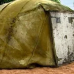 Everyday Herbs: These Are the Plants You Can Grow in Water in Your Kitchen