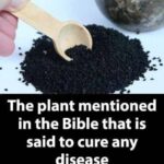 The first image you see reveals the mistake you may be making when choosing a partner