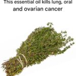 Just 1 Spoon Makes It Explode in Growth (Even Ugly Plants!)