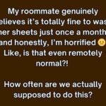 Why Some Dogs Wear Blue Vests, Bandanas, or Leashes