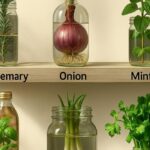 Everyone laughed at this man’s house until they walked inside