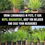 No more harsh chemicals!