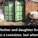 Why Some Dogs Wear Blue Vests, Bandanas, or Leashes