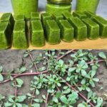 Can You Guess What This Common Tool Was Used For In The Past?