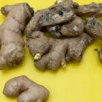 Woman Raises Son’s Daughter He Left 10 Years Ago, He Returns and Finds House Abandoned and Empty