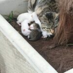 No more harsh chemicals!