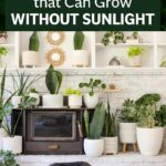 The first image you see reveals the mistake you may be making when choosing a partner