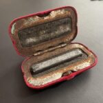 Yarrow (Achillea millefolium): A Natural Treasure with Multiple Therapeutic Benefits