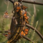 Got A Rosemary Bush? Here’re 20 Brilliant & Unusual Ways To Use All That Rosemary
