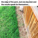 Man d.ied from eating eggs. Pl.e.ase stop eating eggs in this way