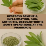 9 Crops You Can Grow in Buckets All Year Round: Ultimate Guide to Container Gardening Success