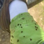 🐾 A Garden Sanctuary: Watching Love Grow, One Tiny Paw at a Time