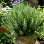 Here’s Why You Want to Hang an Overripe Banana in your Garden