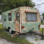 10 Fish You Should Steer Clear of Ordering at a Restaurant