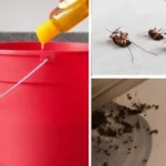 Does Vinegar Kill Weeds? Best Recipes for Vinegar to Kill Weeds