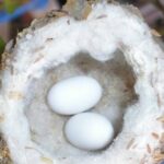 You Won’t Believe What That Pull-Out Cutting Board In Your Kitchen Was Actually Designed For!