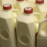 How To Rid Flies, Cockroaches, And Mosquitoes Fast – Homemade Solution