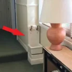 She Thought It Was Quinoa—Then She Looked Closer and Gagged