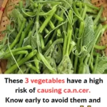 Southern Fried Green Tomatoes