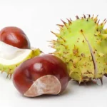 Why do birds build nests near your house? It’s no coincidence.