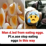 Does Vinegar Kill Weeds? Best Recipes for Vinegar to Kill Weeds