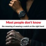 Why Are Brown Eggs More Expensive Than White Eggs?