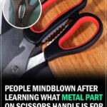 Woman Stunned After Realizing What Crashed Through Her Windshield