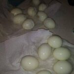 The Secret of Aspirin in Laundry: A Tradition Passed Down