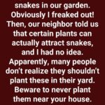 A Captivating Visual Puzzle Is Confusing the Internet