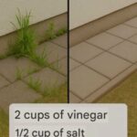 I didn’t realize you could do this