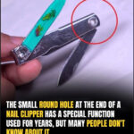 Woman Stunned After Realizing What Crashed Through Her Windshield