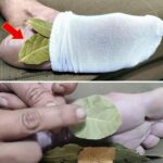 Had no idea this was a thing