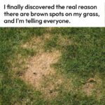 10 Bizarre Home Remedies Our Grandparents Swear By (and Why They Might Actually Work)