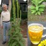 Unlock Your Personality Traits Based on the Shape of Your Thumb