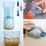 Boil Lemon Peels and Rejuvenate Your Health!