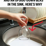 Not Yo’ Mama’s Banana Pudding – A Creamy, Dreamy Southern Dessert