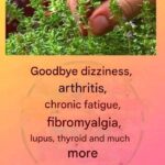 Put lemon and baking soda in a glass and place it in a room you frequent