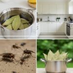 Why You Should Put a Peppermint Plant in Your Entryway