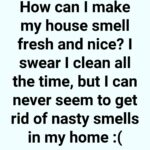 How to Make Hawaiian Pineapple Coconut Poke Cake