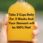 Insect Messaging: The Leaf Grasshopper’s Messenger