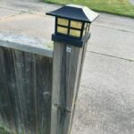 Beach Mystery Solved: What Are These Bizarre Balls Kids Keep Finding?