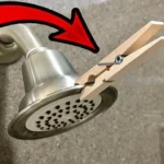 What is SPAM And What Is It Made of, Anyway?