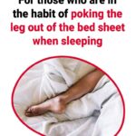 Benefits and Properties of Tomato Juice: A Nutritional Treasure For Your Health